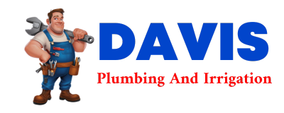 Trusted plumber in DEL RIO